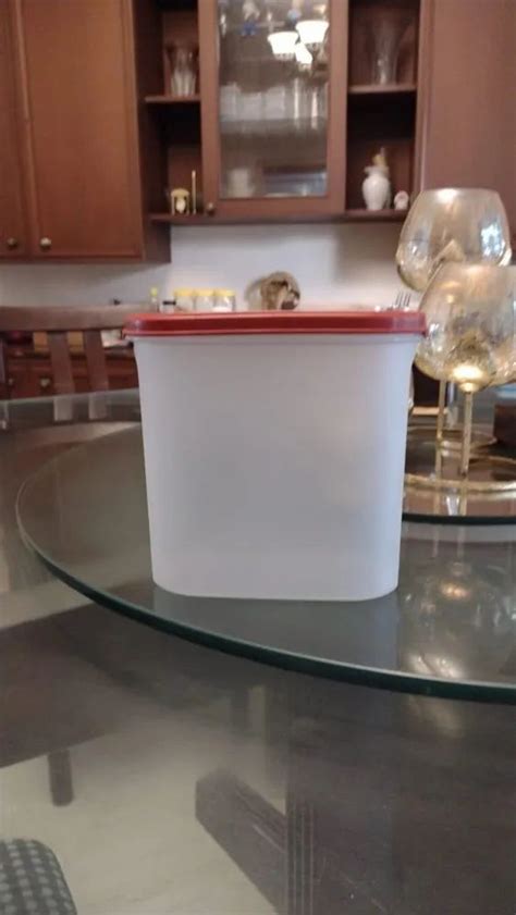 Transparent White Thick Tupper Plastic Shelf Saver Tupperware 1 7