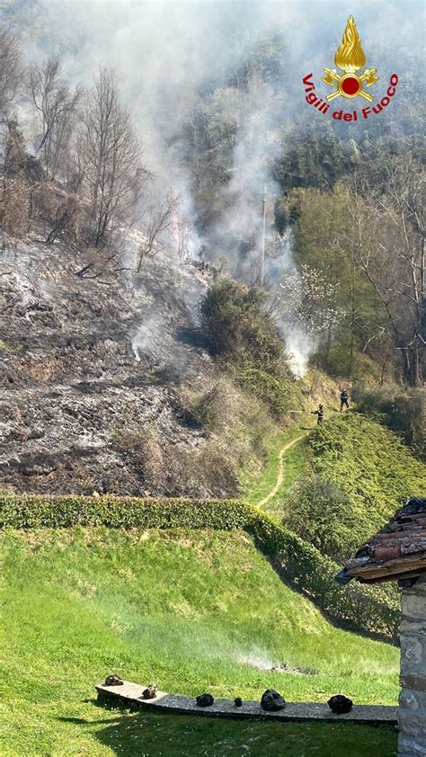 Il Bosco Che Brucia Corsa Contro Il Vento