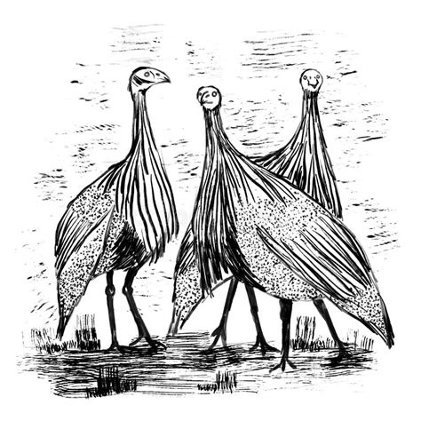 Guineafowl Fowl Bird Hand Drawn Illsutration Nature Natural Realistic