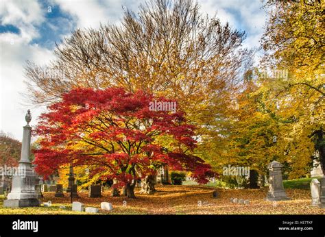 Greenwood Cemetery Brooklyn Hi Res Stock Photography And Images Alamy