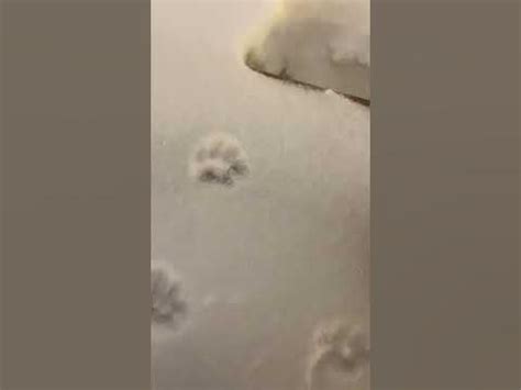 Моей руке хана от холода - YouTube