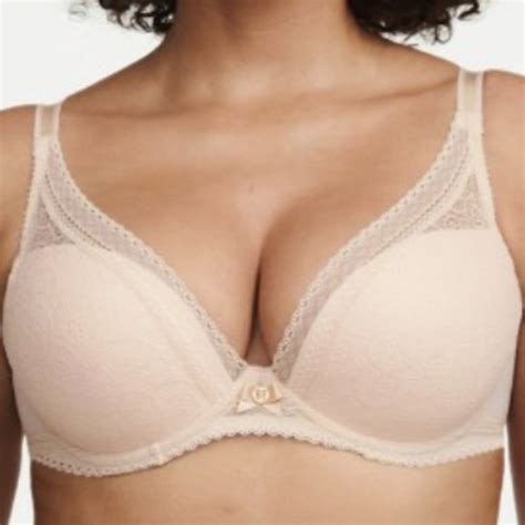 Chantelle Other Nwt Chantelle Bra Festivite Lace Plunge Nude Us