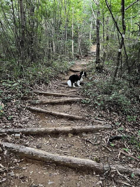🐶中山・中山砦 2023 09 10 まーさーさんの中山・中山砦の活動データ Yamap ヤマップ