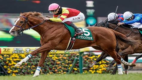 【京王杯sc出走馬・騎手確定】トウシンマカオ＆菅原明良騎手、ウインマーベル＆松山弘平騎手など15頭 2024年5月9日掲載 ライブドアニュース