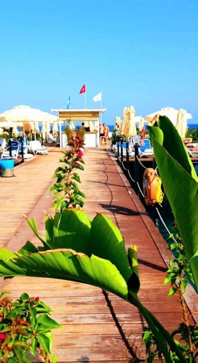 Sonnenplattform Hinaus Zu Akra Kemer Kemer Holidaycheck