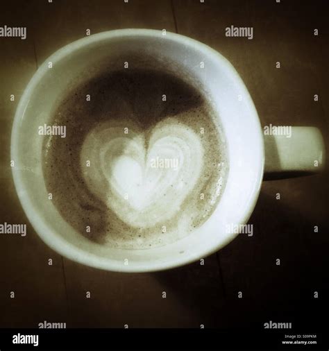 Cup Of Hot Chocolate Stock Photo Alamy