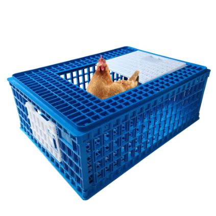 Durable Big Plastic Poultry Carry Chickens Carrier Crates Suitable For