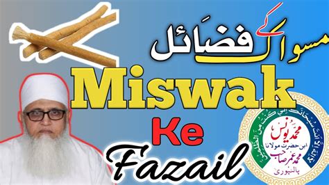 Miswak Ki Yeh Fazilat Aap Ne Suni Nahi Hogi Miswak Ki Fazilat Molana