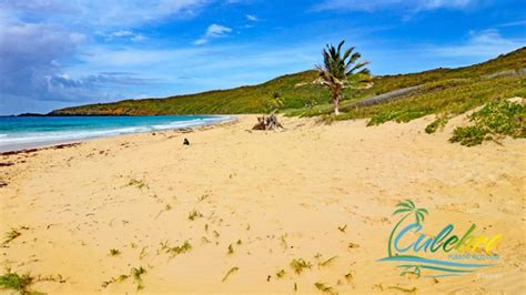 Best Beaches in Culebra Puerto Rico - Visitor's Guide - Culebra Beaches