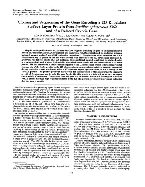 PDF Cloning And Sequencing Of The Gene Encoding A 125 Kilodalton