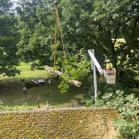 Emergency Tree Removal | New Milford, Bridgewater & Washington, CT | A