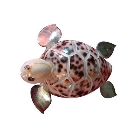 Handcrafted Sea Shell Unique Turtle Showpiece Home Decor Items