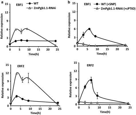 expression levels   ethylene responsive factors ein binding  box
