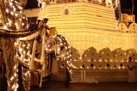 Sri Lankan Discovery Kandy Festival 2024 | Bunnik Tours