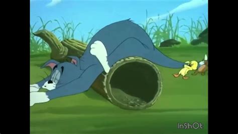 Tom And Jerry Just Ducky 1953 Cbs Youtube