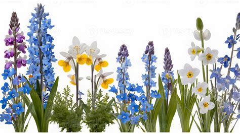 Spring Wildflower Bouquet Isolated on White 54604749 Stock Photo at