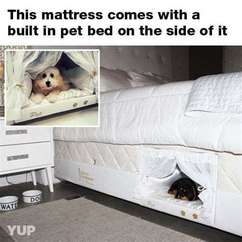This Is Cool Im Admit Meme By Yourotherleft Memedroid