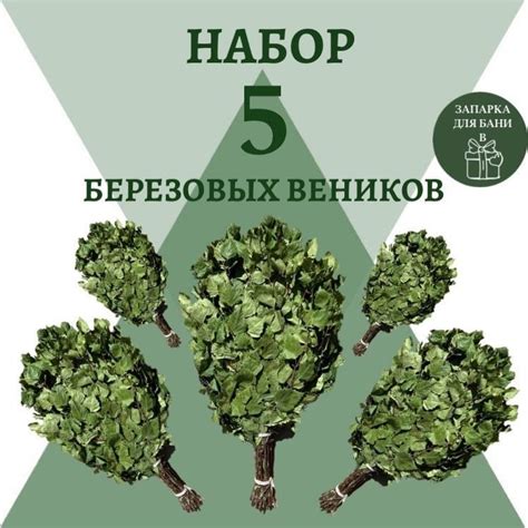 Веники для бани/березовые веники 5шт - Веник для бани, купить в ...