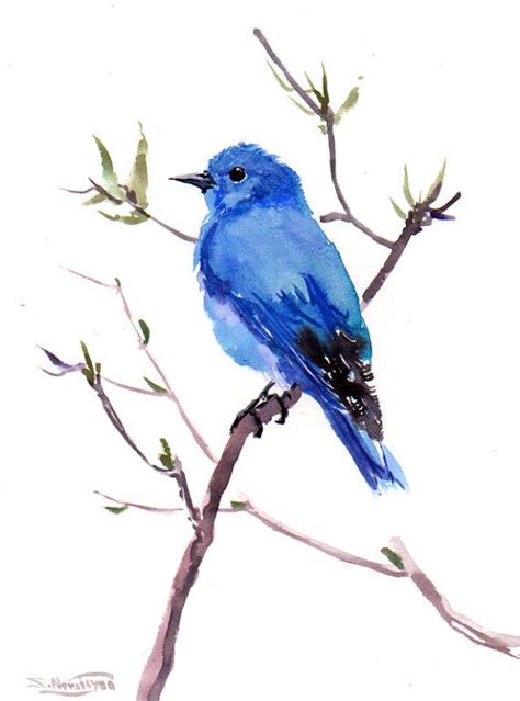 How To Draw A Mountain Bluebird Easy - Draw easy