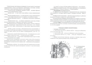 Гайворонский_кровоснабженеи_иннервация_внутренних_орг | PPT
