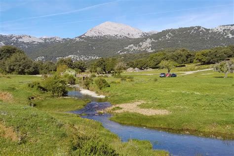 Grazalema Plants Flower Tour WILD ANDALUCIA BIRDING TOURS