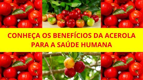 CONHEÇA OS BENEFÍCIOS DA ACEROLA PARA A SAÚDE HUMANA YouTube