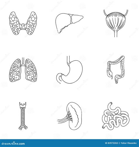 Human Organs Set Icons In Outline Style Big Collection Of Human Organs