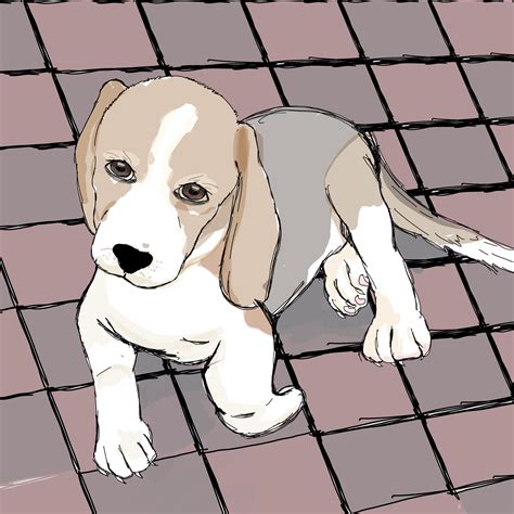 Almost got scammed - ibisPaint