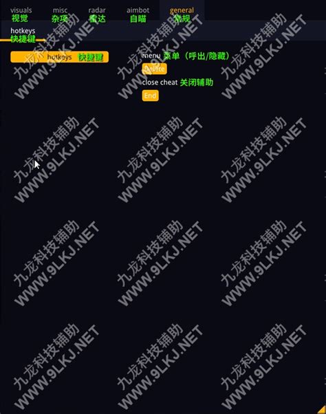 命运2 Ring 1 九龙科技辅助