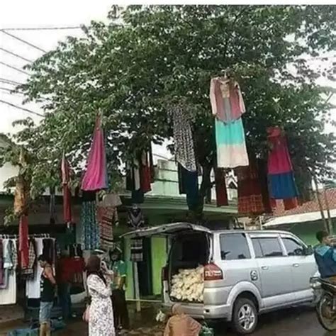 6 Aksi Nyeleneh Orang Di Atas Pohon Ini Bikin Heran Jadi Tempat Bersantai Hot Liputan6