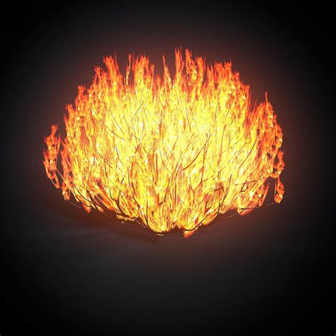 when to cut back a burning bush 8