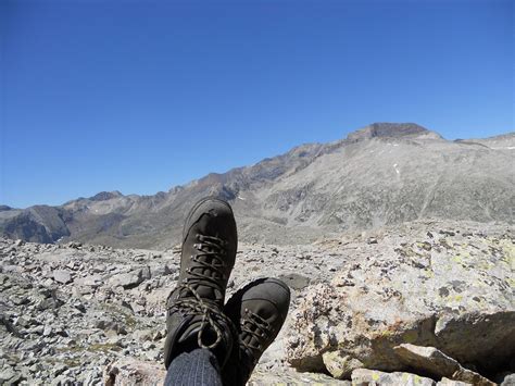 essential skills  survival newbies survival stronghold