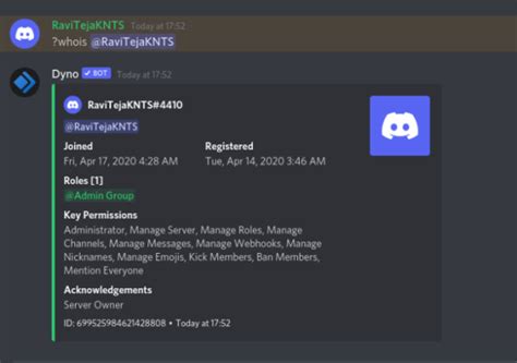 Best Dyno Commands To Supercharge Discord Experience Techwiser