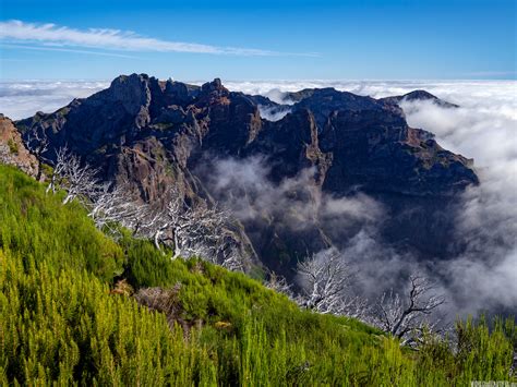 G Ry Na Maderze Trekking Na Pico Ruivo Zdj Cia Foto Galeria