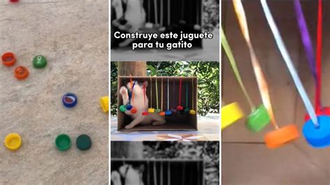 Ecoinventos On Twitter C Mo Hacer Un Juguete Casero Para Gatos Que