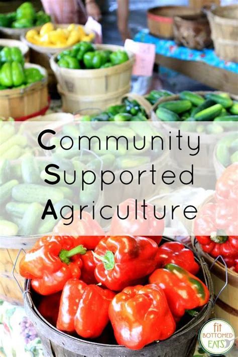 Community Supported Agriculture Fresh Direct And Delicious