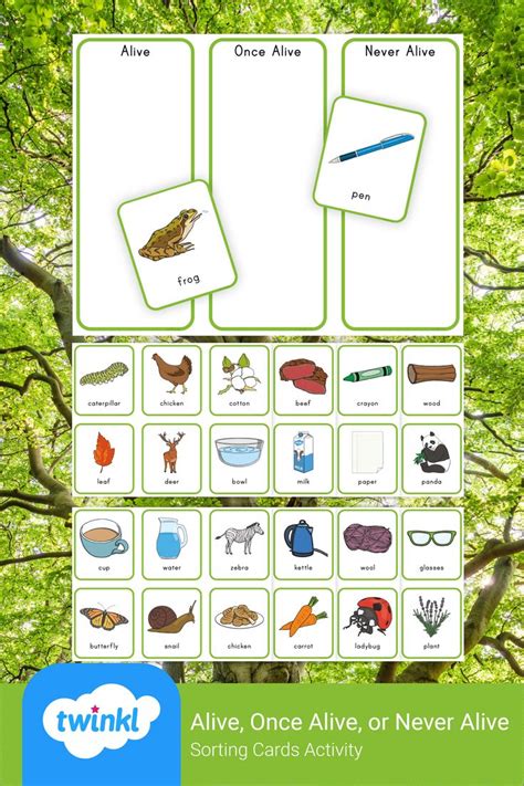 Alive Once Alive Or Never Alive Sorting Cards Activity Sorting