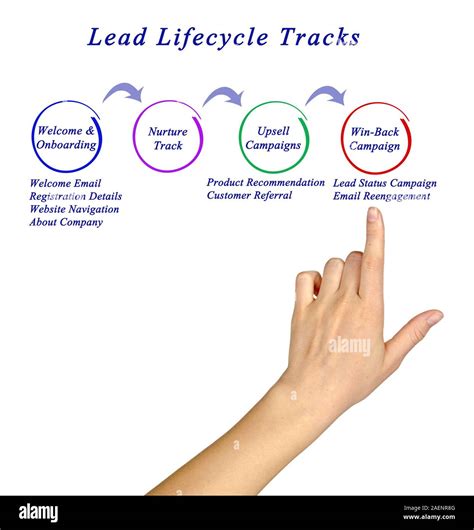 lead lifecycle tracks stock photo alamy