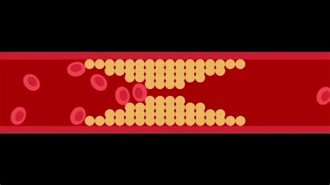 blood clots  animation stock video pond