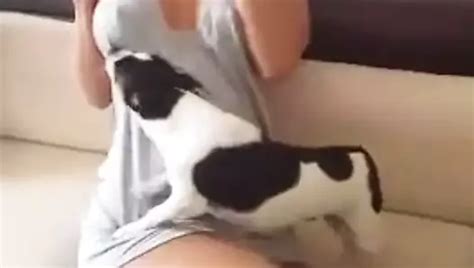 Kinga Makosi Get Their Tits Out In The Pool Bb Porn B Xhamster