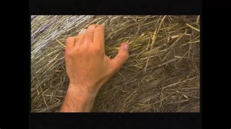 Kathleen White Vintage Porn Videos 2025 XHamster