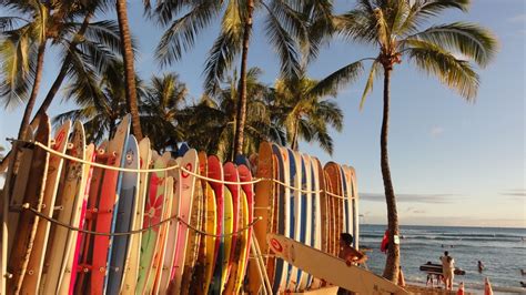 Surfboard Aesthetic Wallpapers Wallpaper Cave