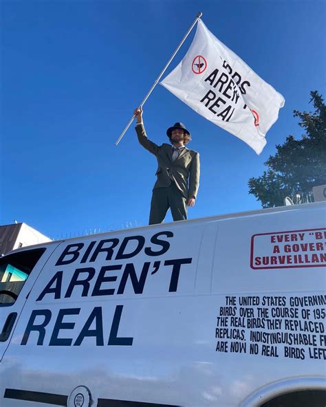 Birds aren’t real: When Gen Z decides to build a conspiracy | SBS The Feed