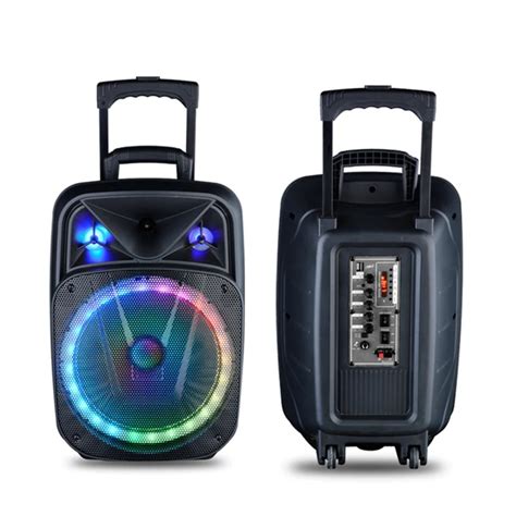 NDR W1312 Outdoor Portable 12 Inch Party Speakers With Wireless Mic