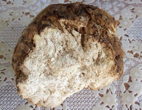 Агарик гриб, 100г - Хорошее самочувствие!