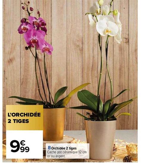 Promo Orchidée 2 tiges chez Carrefour