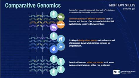 National Human Genome Research Institute Nhgri On Linkedin