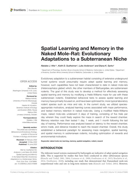 PDF Spatial Learning And Memory In The Naked Mole Rat Evolutionary