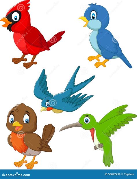 Cartoon Birds Collection Set Stock Vector - Image: 53892439