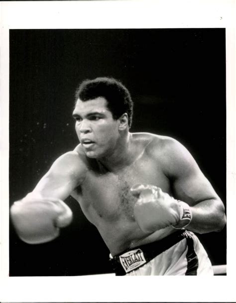 Cronos Cultural Muri Muhammad Ali Cassius Clay Una Leyenda Del Boxeo